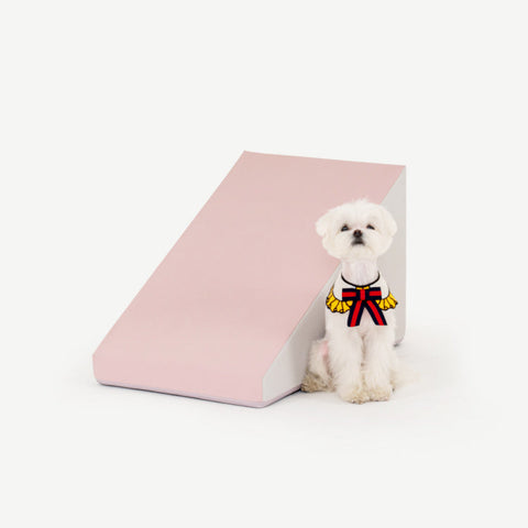 【PRE-ORDER】Non-Slip Pet Slide