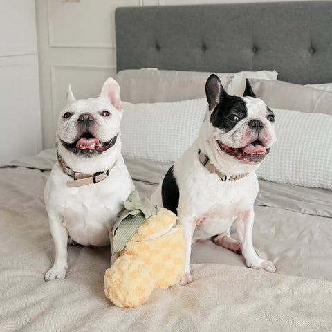 PINEAPPLE POP - Bouncy + Crinkly Toy