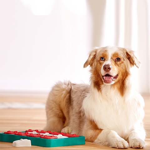 DOG PUZZLE GAME - DOG BRICK
