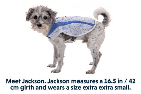 Swamp Cooler™ Cooling Pet Vest