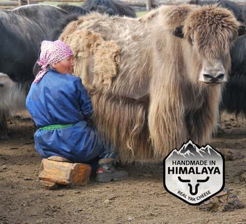 Himalayan Cheese Bar