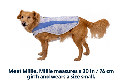 Swamp Cooler™ Cooling Pet Vest