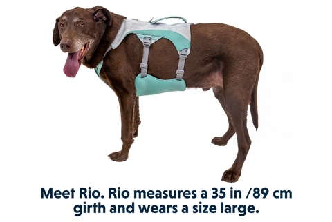 Swamp Cooler™ Pet Cooling Harness