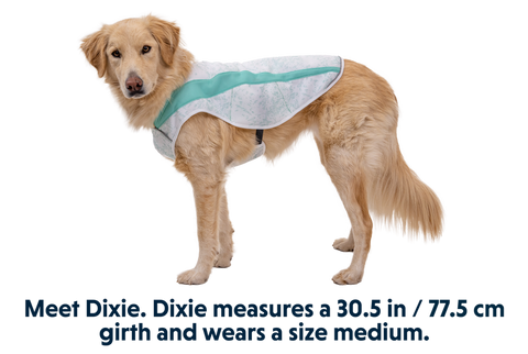 Swamp Cooler™ Cooling Pet Vest