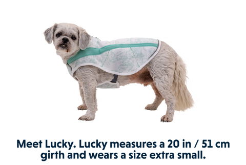Swamp Cooler™ Cooling Pet Vest