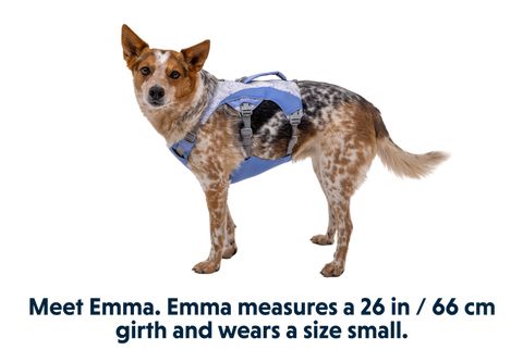 Swamp Cooler™ Pet Cooling Harness