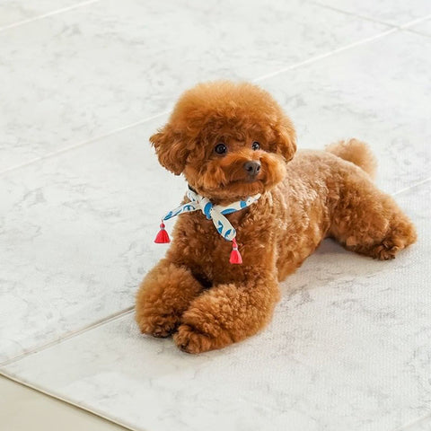 【PRE-ORDER】Non-Slip Waterproof Pet Mat - Folding 折疊款 (Modern Pattern)