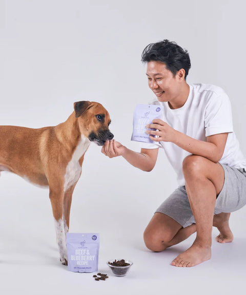 Beef & Blueberry Air Dried Treats