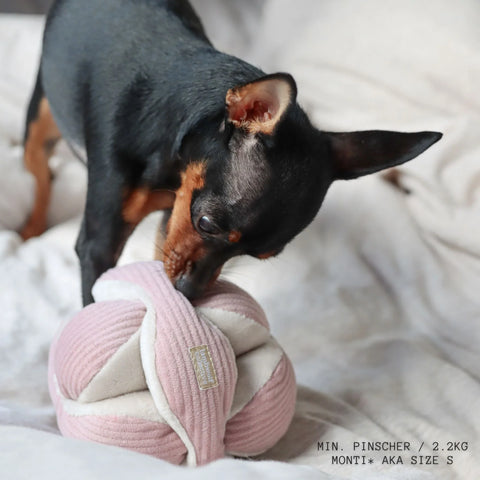 Mini MONTI Crinkle + Squeaky Snuffle Ball