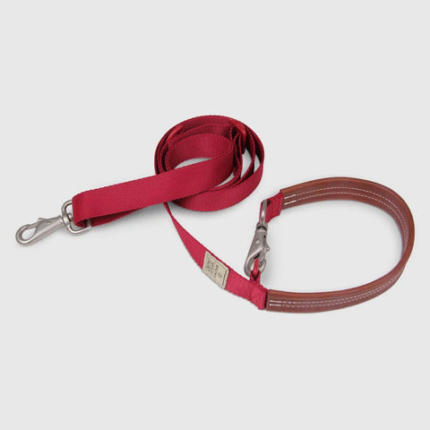 Explore - Leash