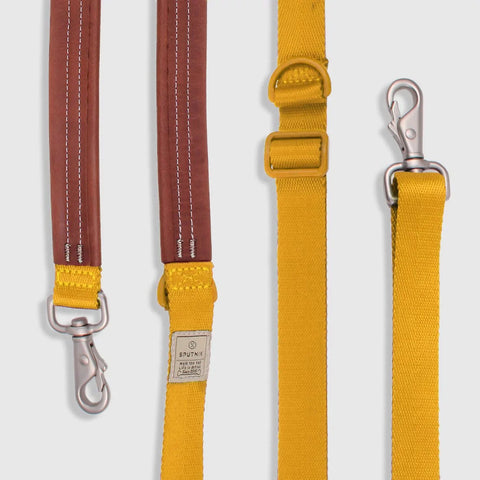 Explore - Leash