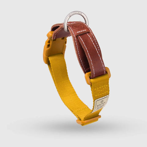 Explore - Collar