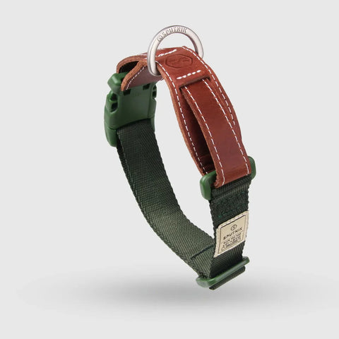 Explore - Collar