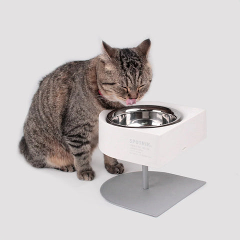 NON-ANTS Bowl (High) - White