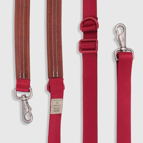 Explore - Leash