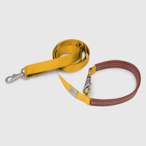 Explore - Leash