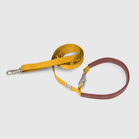 Explore - Leash
