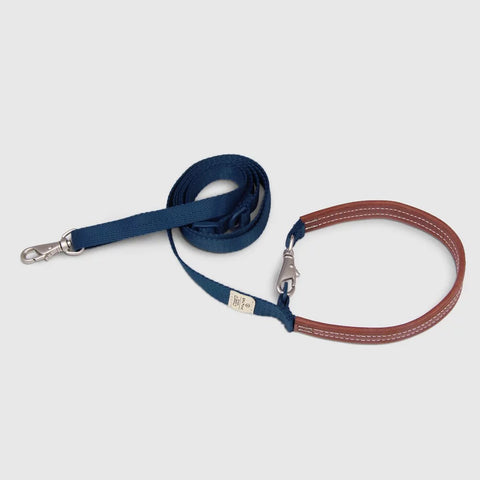 Explore - Leash