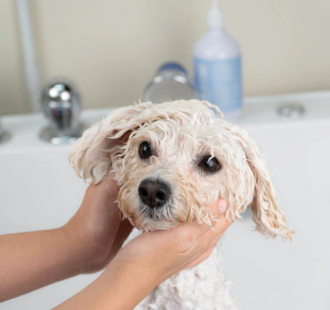 Fur Baby Shampoo - Fragrance Free