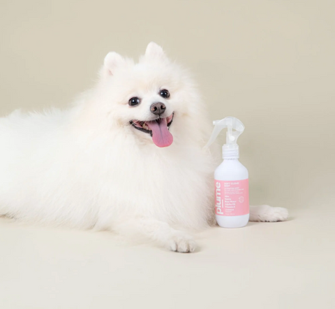 Soft Cloud Baby Conditioning Spray - Lavender