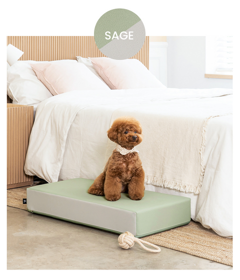 【PRE-ORDER】Non-Slip Pet Step 1-Tier