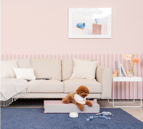 【PRE-ORDER】Non-Slip Pet Step 1-Tier