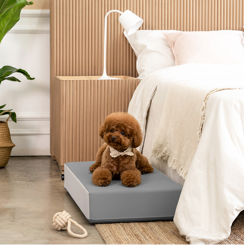 【PRE-ORDER】Non-Slip Pet Step 1-Tier