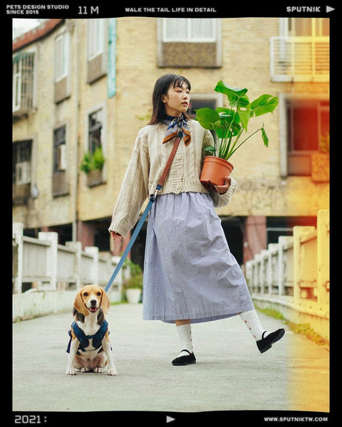 Explore - Leash