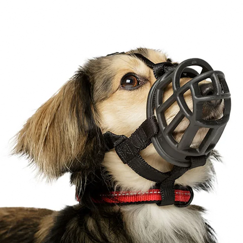 Baskerville Ultra Muzzle