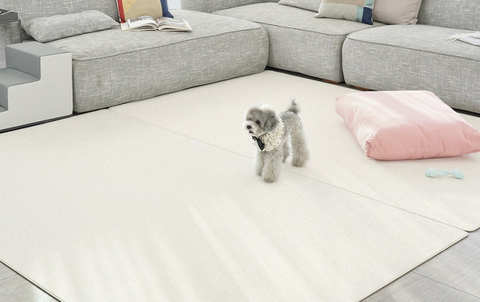 【PRE-ORDER】Non-Slip Waterproof Pet Mat - Hallway 走廊款 (Modern Pattern)