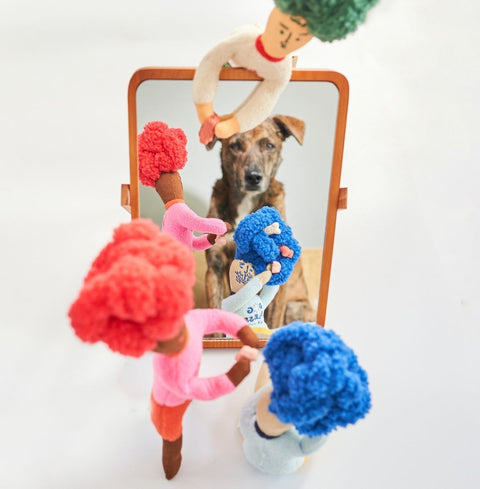 Hooman Nosework Toy