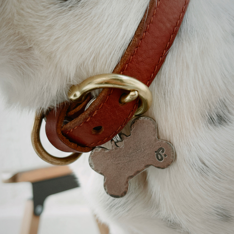 Pet ID Name Tag