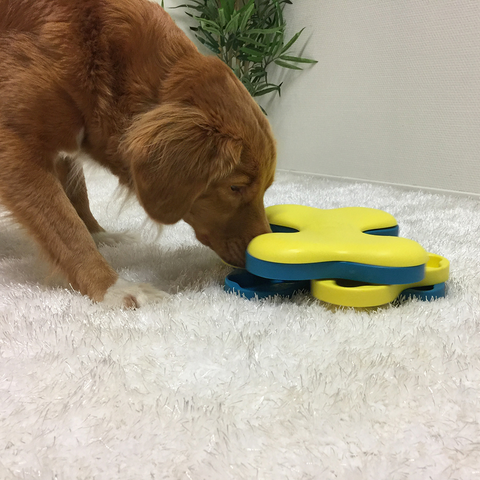 DOG PUZZLE GAME - DOG TORNADO