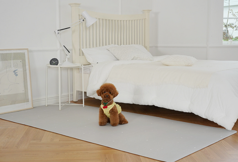 【PRE-ORDER】Non-Slip Waterproof Pet Mat - Hallway 走廊款 (Modern Pattern)