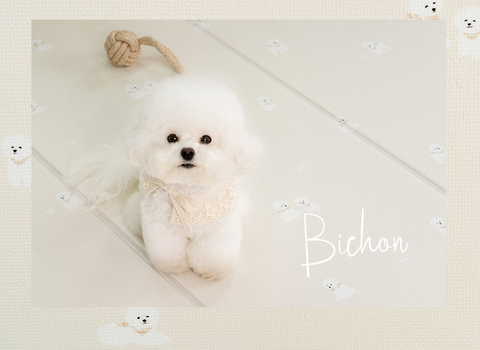 【PRE-ORDER】Non-Slip Waterproof Pet Mat - Folding 折疊款 (Breed Pattern)