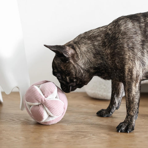 Mini MONTI Crinkle + Squeaky Snuffle Ball