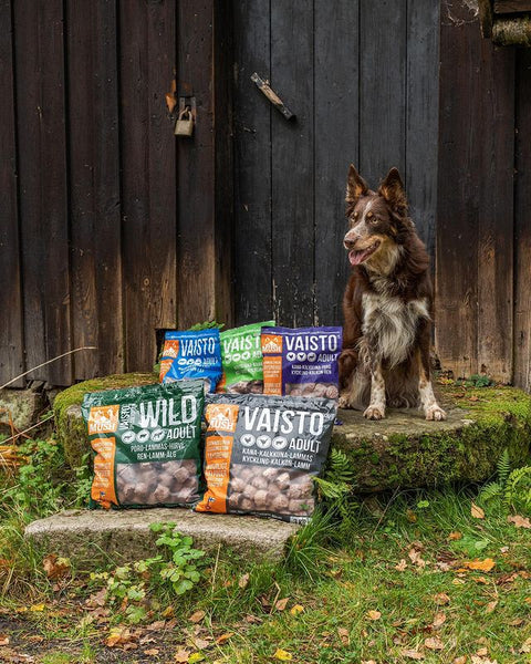 Frozen Raw Dog Food - Vaisto Blue (Beef, Turkey & Salmon)