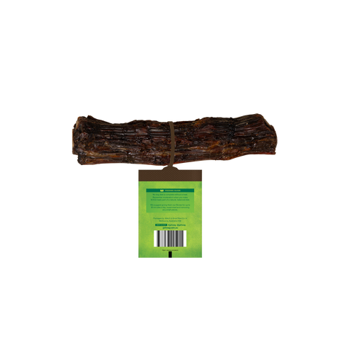 Kangaroo Tail Bone