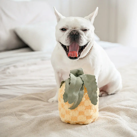 PINEAPPLE POP - Bouncy + Crinkly Toy