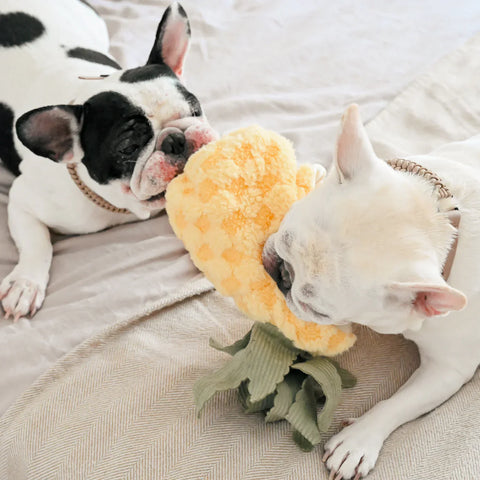PINEAPPLE POP - Bouncy + Crinkly Toy