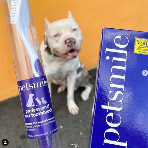 Dual-Ended Pet Toothbrush - Petisan