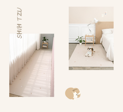 【PRE-ORDER】Non-Slip Waterproof Pet Mat - Hallway 走廊款 (Breed Pattern)