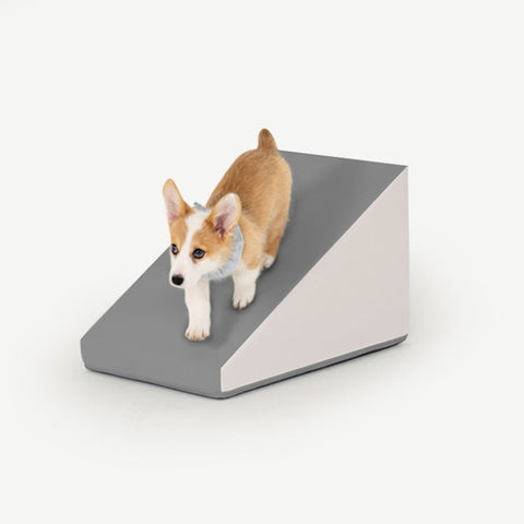 【PRE-ORDER】Non-Slip Pet Slide