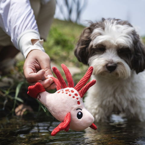 Seacreatures - Eco-Friendly Small Dog Toys