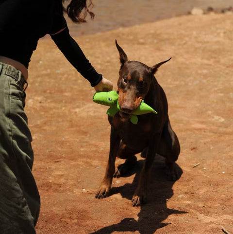 We Are Friends - Dog rpet toys