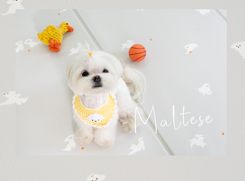 【PRE-ORDER】Non-Slip Waterproof Pet Mat - Folding 折疊款 (Breed Pattern)
