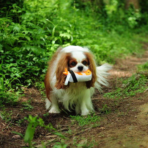 Nigiri Zushi - Dog rpet toys