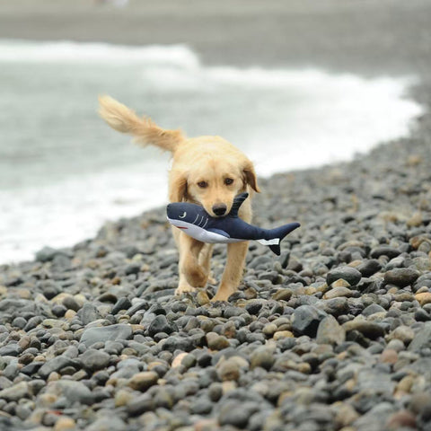 Save Our Sea - Shark - Dog rpet toys