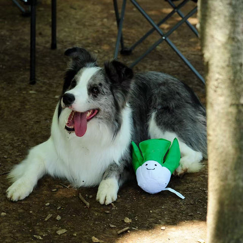 I Love Vegetables - Dog rpet toys