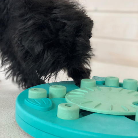 DOG PUZZLE GAME - DOG WORKER